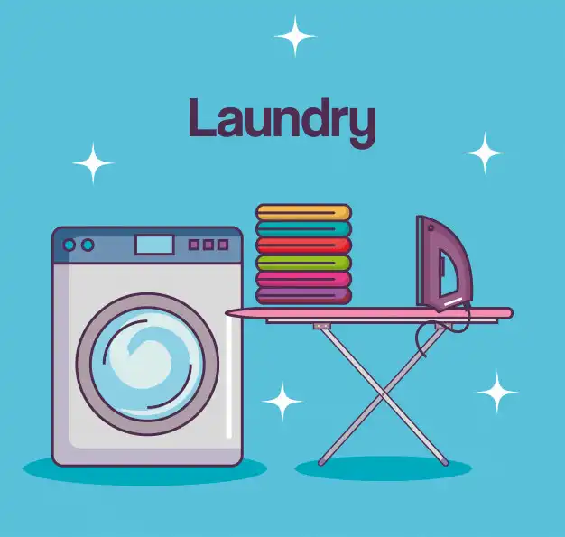 laundry management software